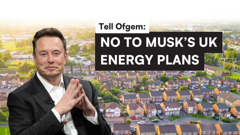 I've signed a petition telling Ofgem to reject Musk's application to supply electricity to British households. Will you join me and add your name?
