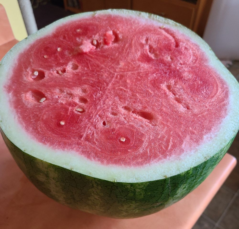 My cut watermelon - disappointing - pale and not sweet.