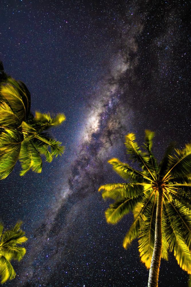 Milky Way between palm trees in Moorea, French Polynesia. Long exposure night sky.