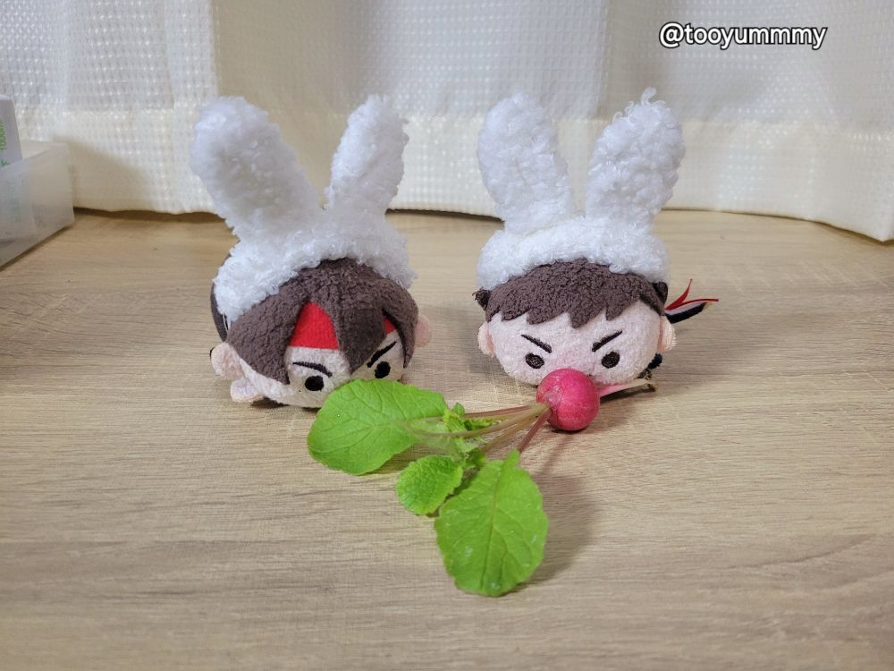 🐰　 ＞ｶﾘｶﾘｺﾘｺﾘｶﾘｶﾘ……
🐰🎀＞ﾑｼｬﾑｼｬﾑｼｬﾑｼｬ……