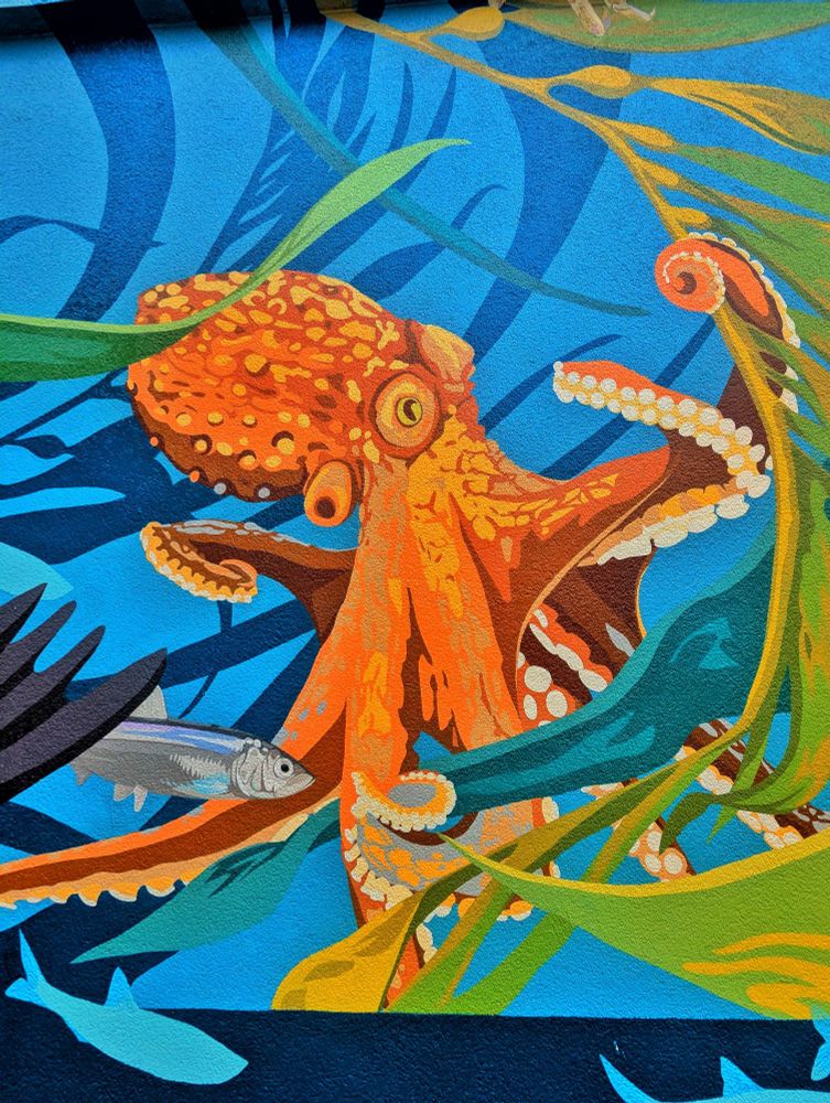 Mural of an octopus in a kelp forest. 