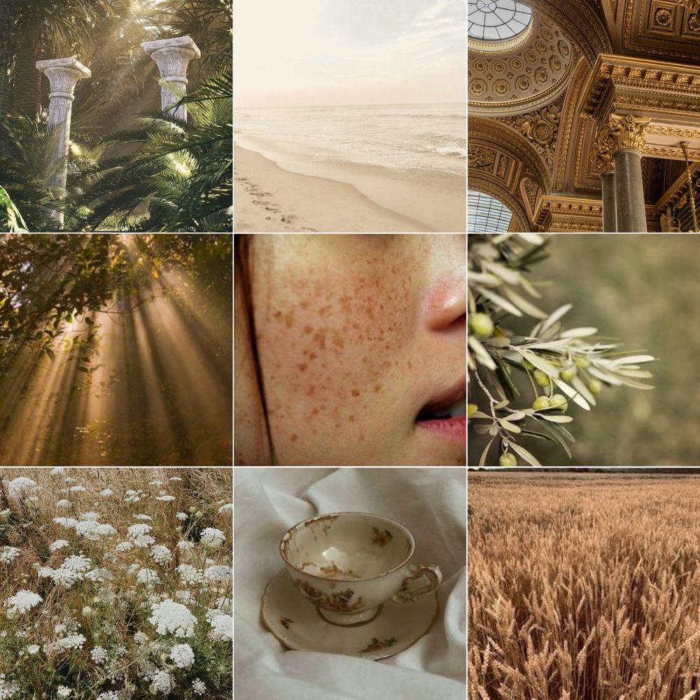 fmc light moodboard 