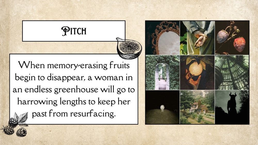fruitwip pitch 