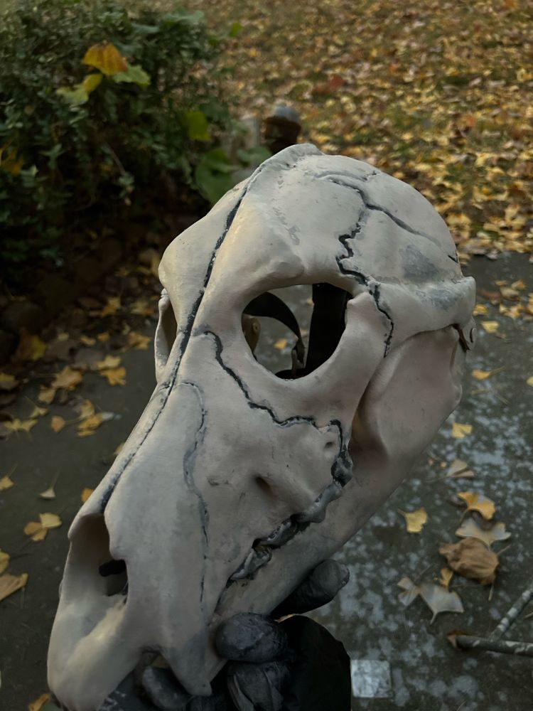 Canine skull mask in an outdoor autumnal setting held by a black rubber glove covered in white and tan paint 