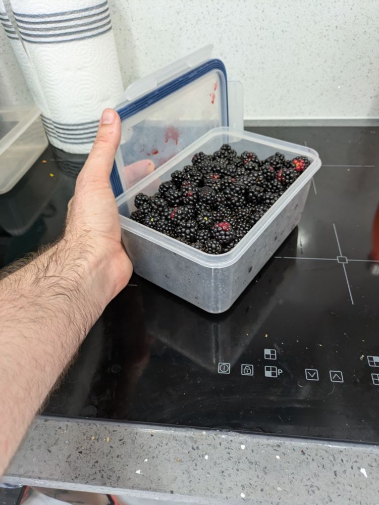 Maybe a half gallon of blackberries in a container, just like wow