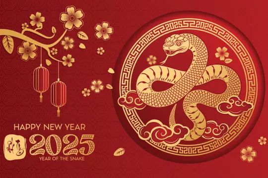 Image rouge, décorée en détails dorés avec :
- à gauche en haut les branches d'un arbre fleuri, ornées de lampions
- en bas à gauche, l'inscription : "happy new year 2025, Year of the snake"
- sur tout le reste de l'affiche un médaillon avec le dessin d'un serpent dedans