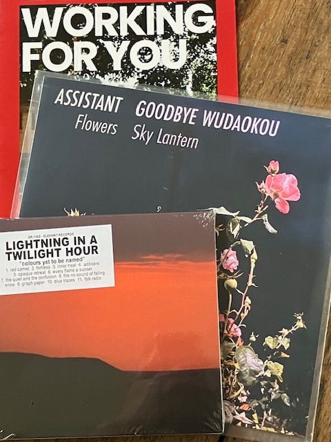 Alt: Answering today’s door knocking produced (photo shows):

Islington Labour Working for You leaflet

Goodbye Wudaokou / Assistant split 7” (Laurie Records / YYZ)

Lightning In A Twilight Hour “Colours Yet To Be Named” CD (Elefant Records)