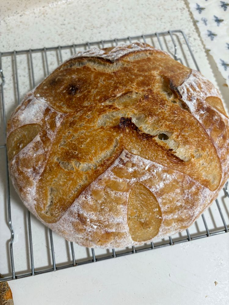 A freshly baked round loaf of sourdough bread cooking on a wire rack. 