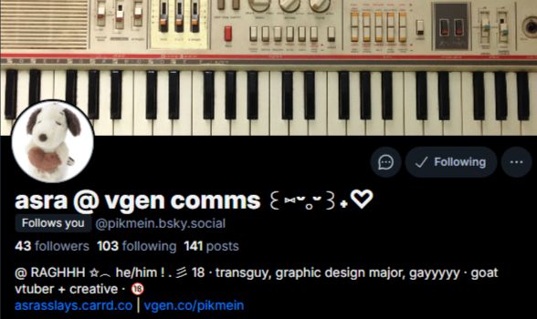 Screenshot of pikmein.bsky.social profile 