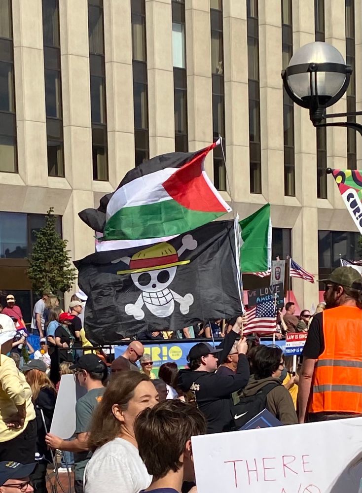 Someone with a One Piece and a Palestine flag at No Kings protest.