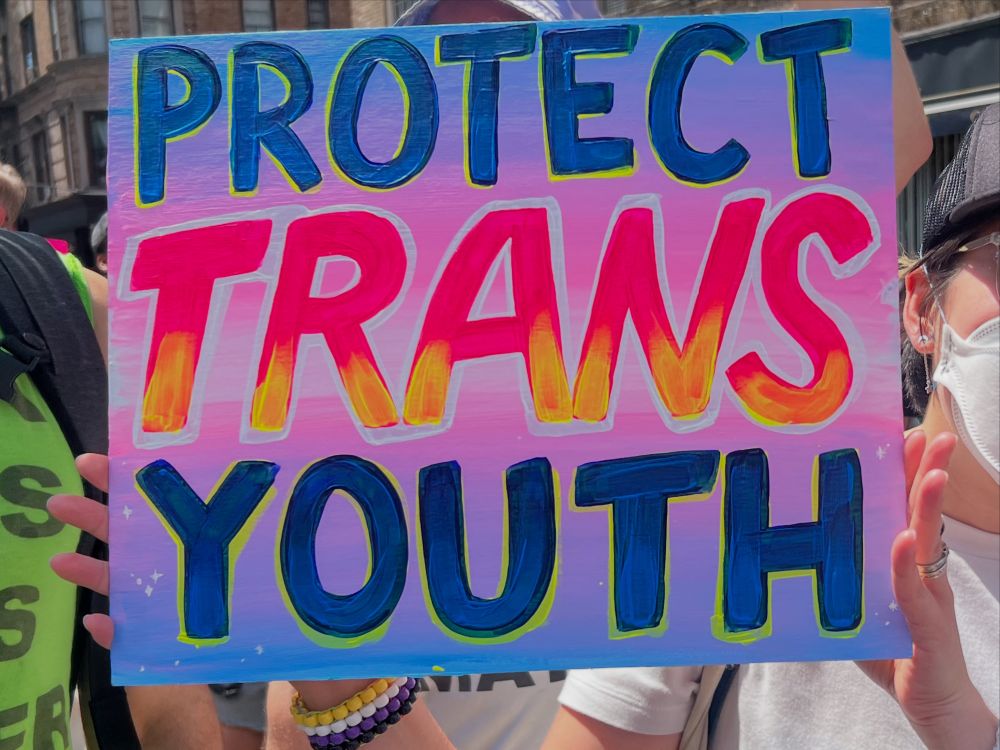 Photo of a hand painted sign at a protest: “PROTECT TRANS YOUTH” in pink, blue, and white, with yellow accents.