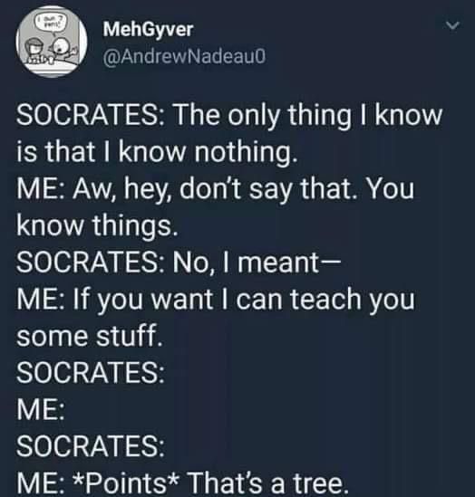 social media screenshot. User is named MehGyver.

Socrates: The only thing I know is that I know nothing
Me: Aw, hey, don't say that. You know things.
Socrates: No, I meant-
Me: If you want I can teach you some stuff.
Socrates:
Me:
Socrates:
Me: *points* That's a tree.