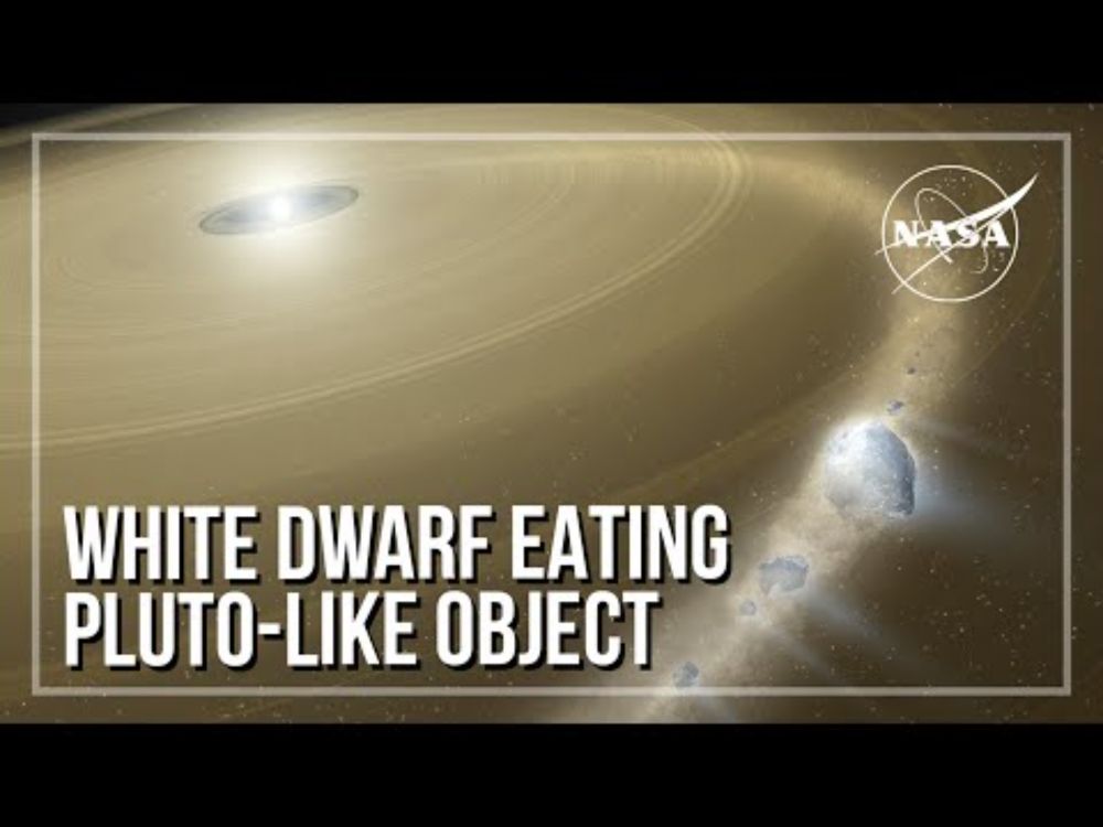 White Dwarf Eating Pluto-Like Object