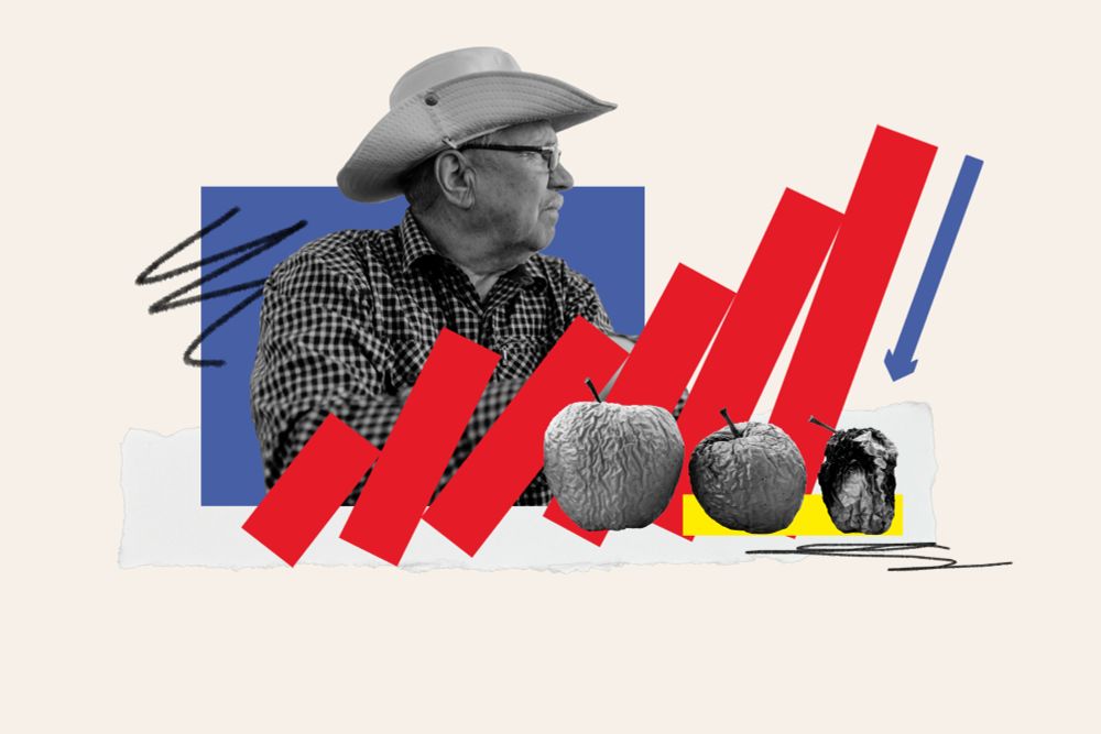 Rising debt, falling crop prices and labor force struggles are pushing America's farmers to the limit in 2025.