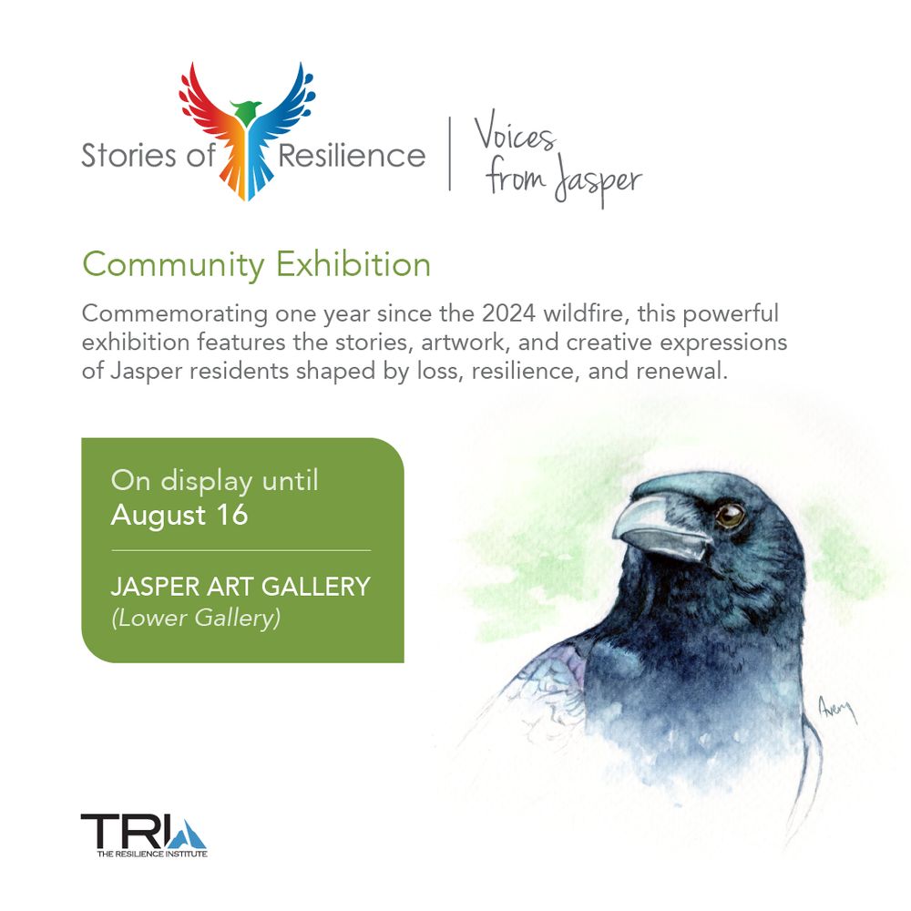 The Stories of Resilience – Voices from Jasper logo is followed by text that reads, "Community Exhibition. Commemorating one year since the 2024 wildfire, this powerful exhibition features the stories, artwork, and creative expressions of Jasper residents shaped by loss, resilience, and renewal." Text below in a green box reads, "On display until August 16. Jasper Art Gallery (Lower Gallery)." On the right is a watercolour illustration of a crow looking up and to the left. 