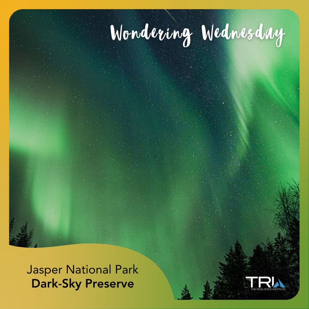 A photo of bright green northern lights with silhouetted trees in the foreground. Handwritten text on the upper right reads: "Wondering Wednesday." Text on the lower left reads: "Jasper National Park, Dark-Sky Preserve." The image is surrounded by a soft yellow and green border.