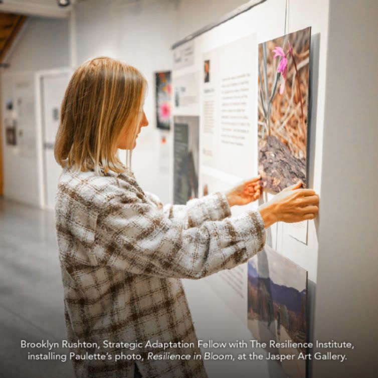 A photo of Brooklyn Rushton, Strategic Adaptation Fellow with The Resilience Institute, installing a print of "Resilience in Bloom" a photo of a Calypso Orchid growing next to a burnt log by Paulette Dubé, at the Jasper Art Gallery. 
