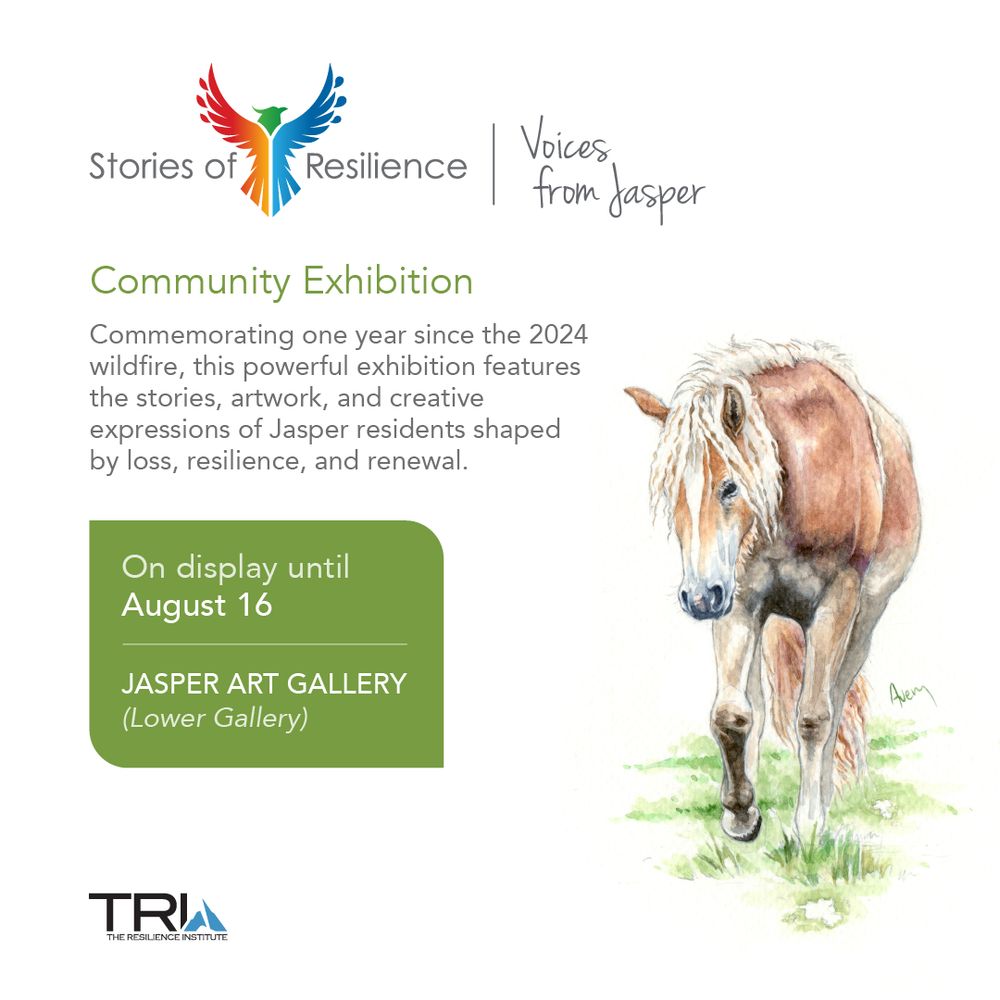 The Stories of Resilience – Voices from Jasper logo is followed by text that reads, "Community Exhibition. Commemorating one year since the 2024 wildfire, this powerful exhibition features the stories, artwork, and creative expressions of Jasper residents shaped by loss, resilience, and renewal." Text below in a green box reads, "On display until August 16. Jasper Art Gallery (Lower Gallery)." On the right is a watercolour illustration of a horse walking in a field. 
