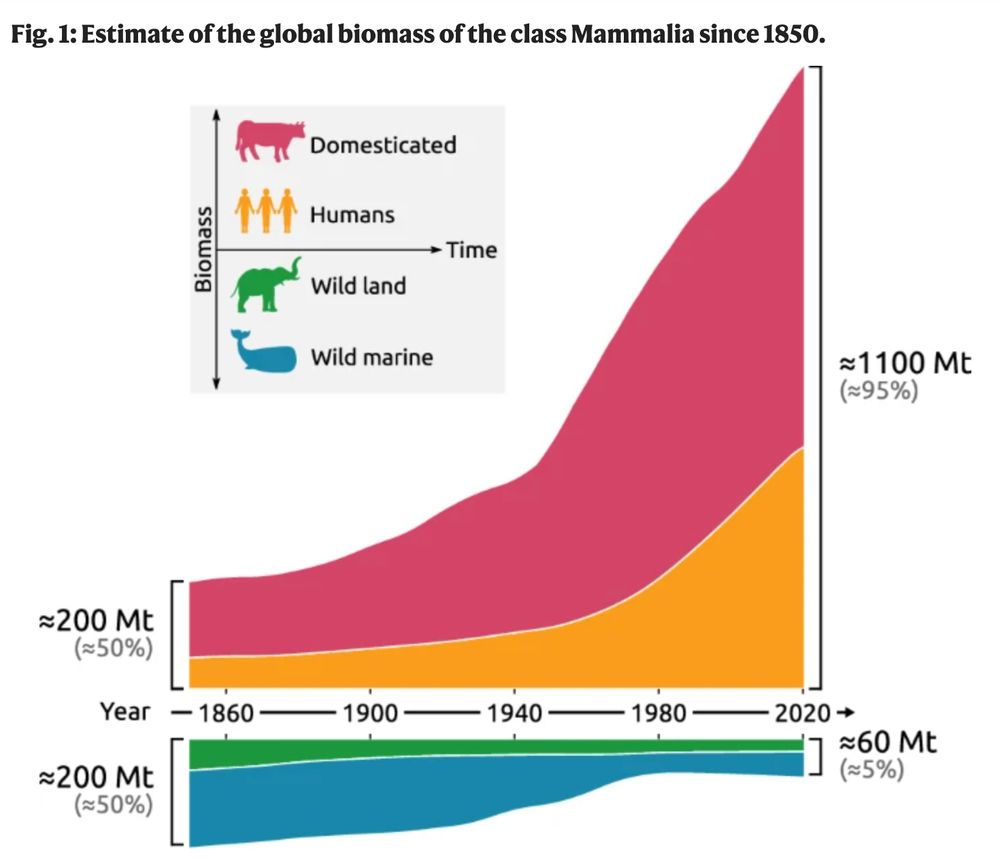 Graphic showing that since 1850, "human and domesticated mammal populations have grown rapidly, reaching their current combined biomass of ≈1100 Mt. During the same period, the total biomass of wild mammals decreased by more than 2-fold" down to 60Mt.