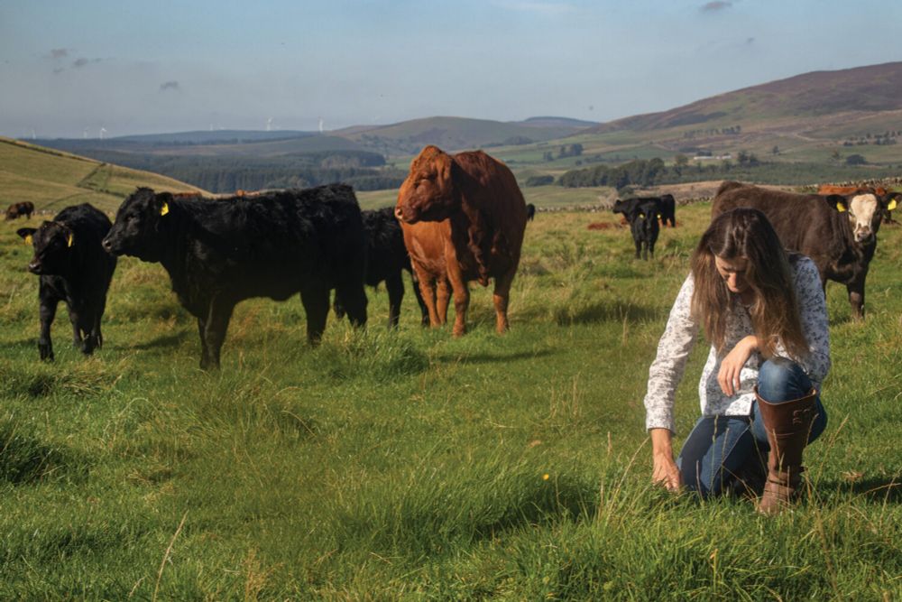 Thought-provoking new exhibition from the Cateran Ecomuseum launched at Alyth Museum - Culture Perth & Kinross