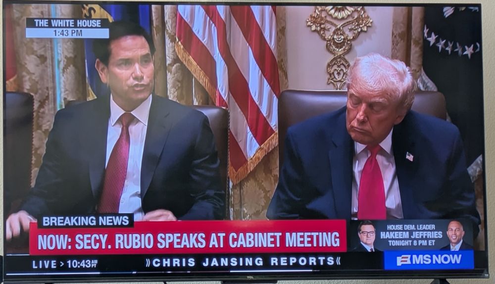 Donald Trump, the President of the United States, sleeping during a cabinet meeting.