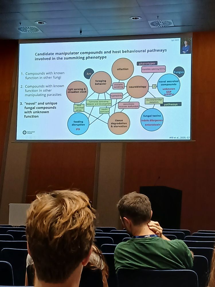 The manipulator compound slide in clearer angle showing her three takeaways from the pathways analysis results and the behavioural pathways involved in the summiting phenotype.