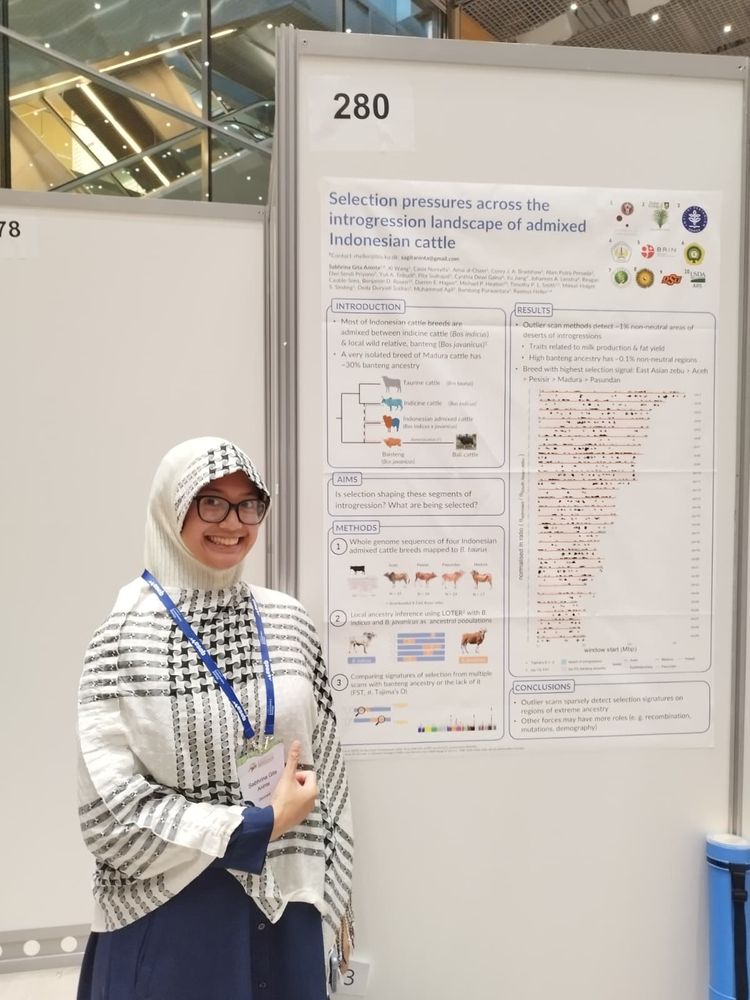 Me and my selection at introgressed genomes poster
