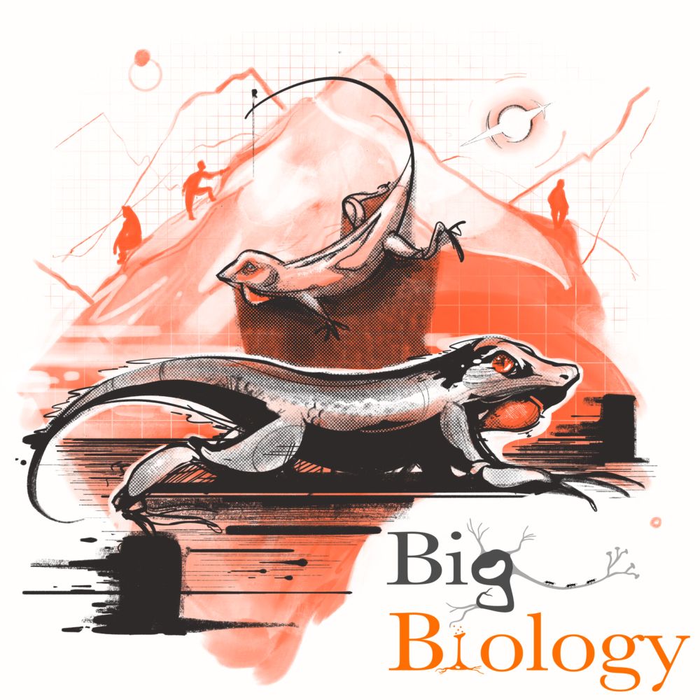 Ep 122: Ahead of the (thermal) curve (with Ray Huey)  — Big Biology Podcast