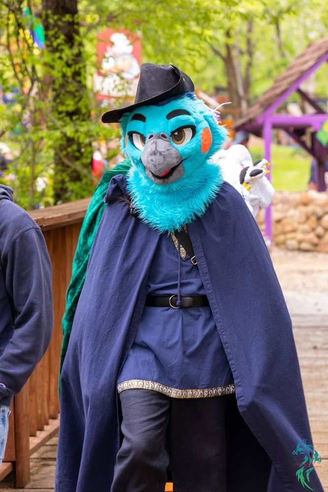 A blue cockatiel fursuiter in ren faire grab including a tunic and cloak. They are crossing a wooden bridge
