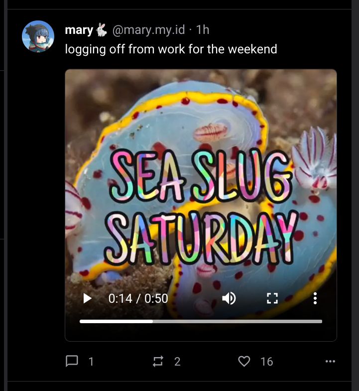 Video embeds in Skeetdeck