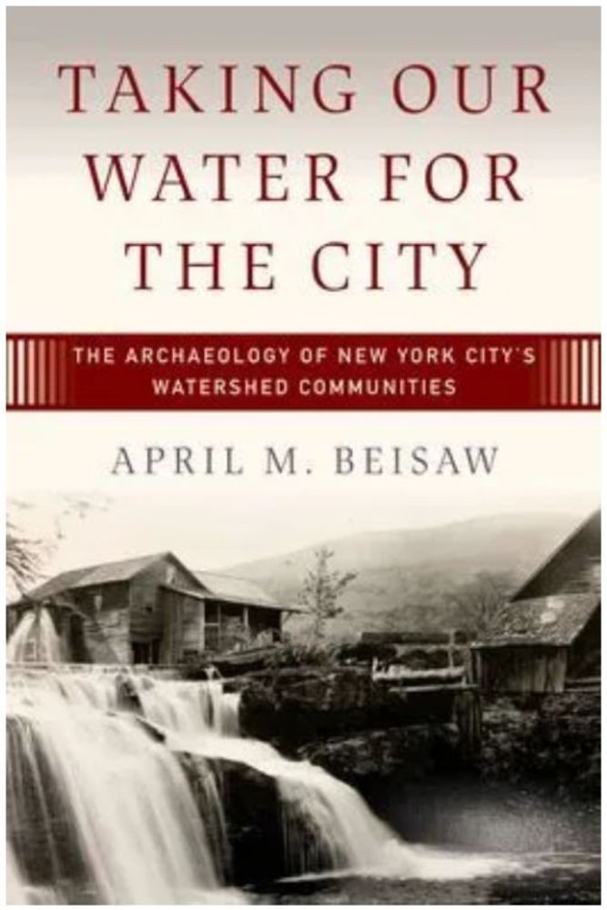 Water Infrastructure, Cemeteries, and Poorhouses of New York with April Biesaw - Women In Archaeology