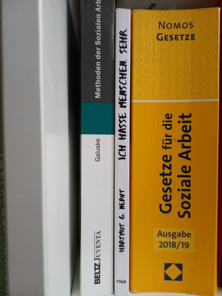 Auf dem Foto sieht man einen Ausschnitt eines Bücherregals. Die Bücher stehen dicht nebeneinander und sind hauptsächlich Fachliteratur aus dem Bereich Soziale Arbeit. Von links nach rechts sind folgende Bücher zu erkennen:

1. „Methoden der Sozialen Arbeit“ (grau-weißes Cover).Galuske 

2. „Ich hasse Menschen. Sehr.“ von Hartmut G. Werst (schmaler, weißer Rücken mit handschriftlich wirkender Schrift).

3. Ein dicker gelber Gesetzesband: „Gesetze für die Soziale Arbeit“, Nomos Gesetze, Ausgabe 2018/19.
