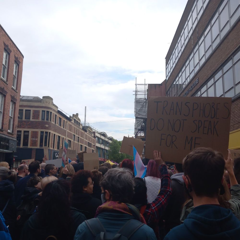 The backs of heads at a protest. There are visible trans flags, and signs, the most visible says 'transphobes do not speak for me'