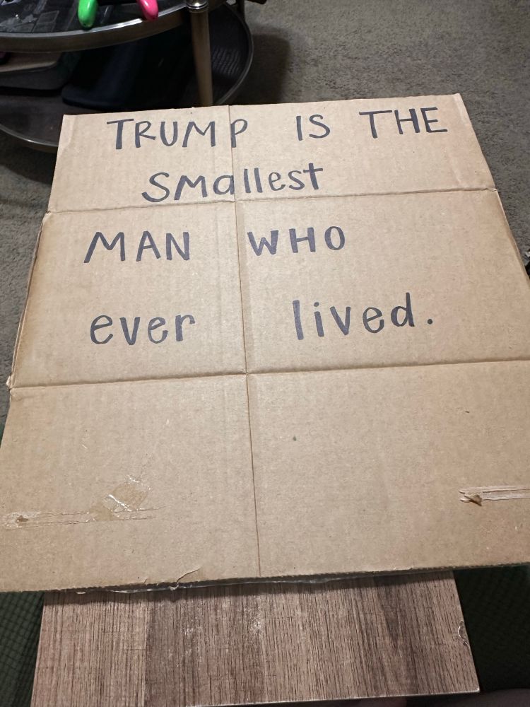 cardboard sign that says “trump is the smallest man who ever lived”