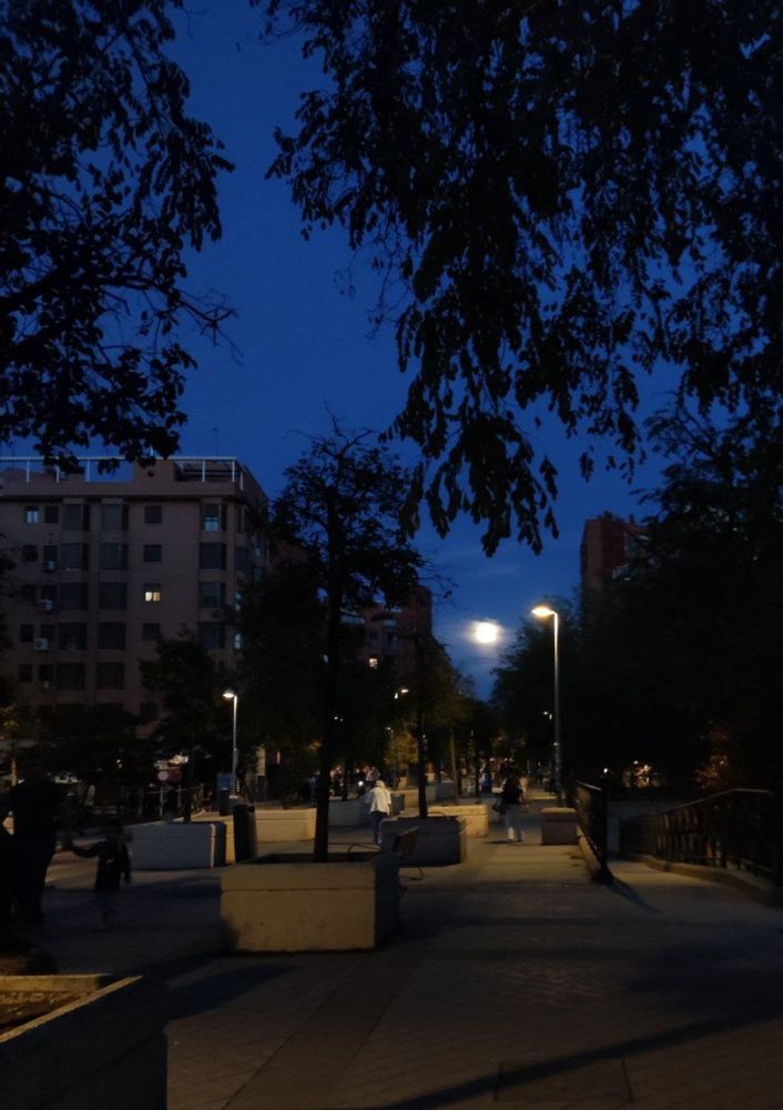 un paseo iluminado por farolas, las hojas de los árboles tapando la parte superior del encuadre y, al fondo, entre dos edificios, la luna siendo enorme y brillante