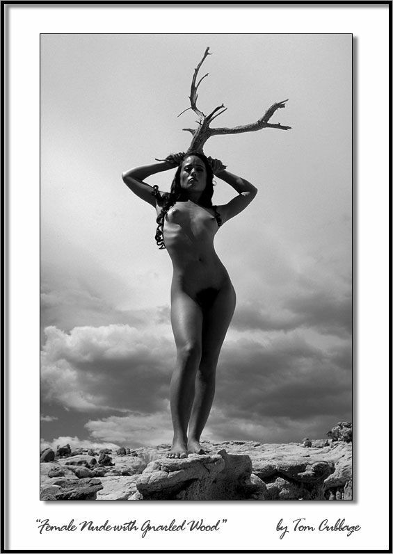 #FineArtPhotography #nudephotography #BlackAndWhitePhotography
#artisticnude #artisticnudemodel #evocative #nudeinnature
#blackandwhite #blackandwhitenude #noir #monotone
#fauxframe #artnude