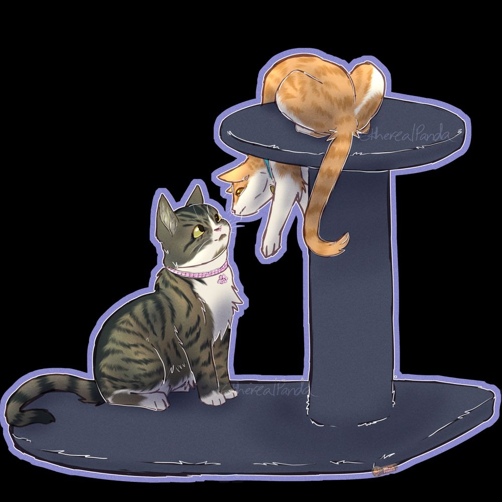 Nana, a tabby cat with a pink rhinestone collar, sits on the bottom portion of a cat tree, looking up at my cat Peach, an orange creamsicle cat with a blue collar, who is leaning down from the top of the cat tree.