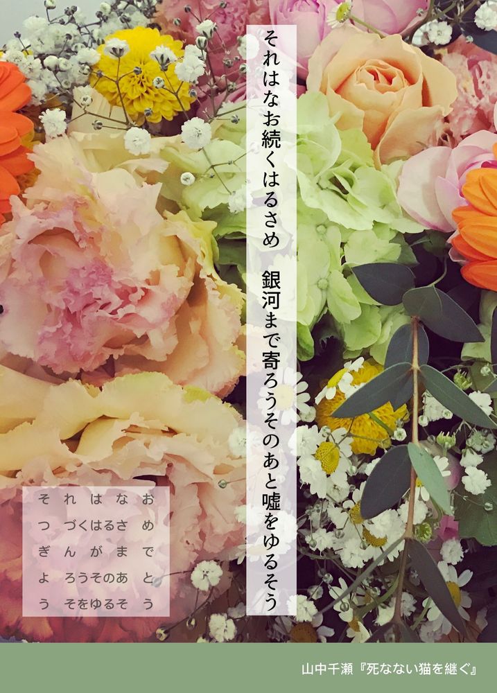 それはなお続くはるさめ　銀河まで寄ろうそのあと嘘をゆるそう

山中千瀬『死なない猫を継ぐ』

---
そ・れはな・お
つ・づくはるさ・め
ぎ・んがま・で
よ・ろうそのあ・と
う・そをゆるそ・う