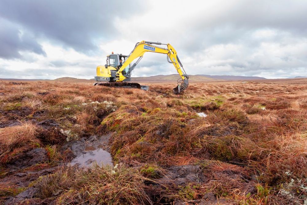 A digger sits atop red-brown peatland vegetation, poised to continue its restoration work.