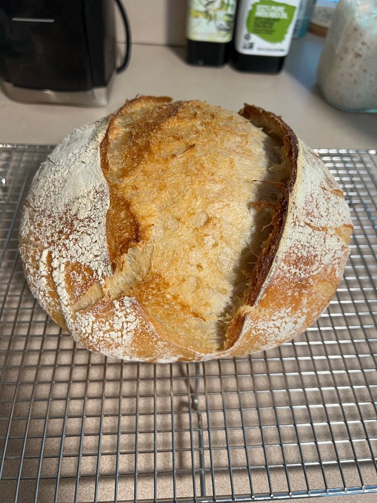 fresh sourdough bread, still crackling