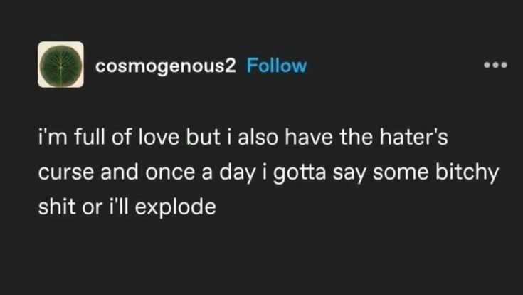 I'm full of love but I also have the hater's curse and once a day I gotta say some bitchy shit or I'll explode