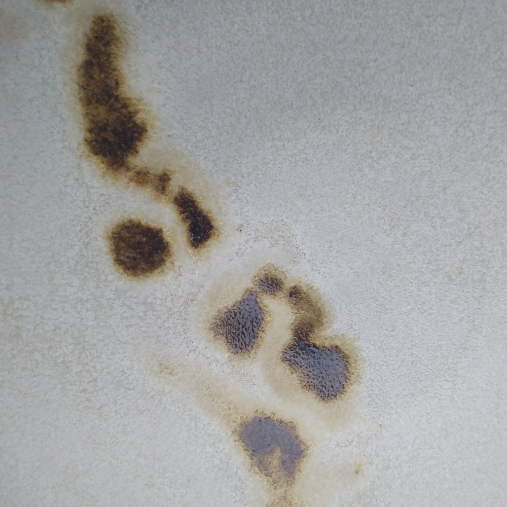 Décor Temmoku sur blanc