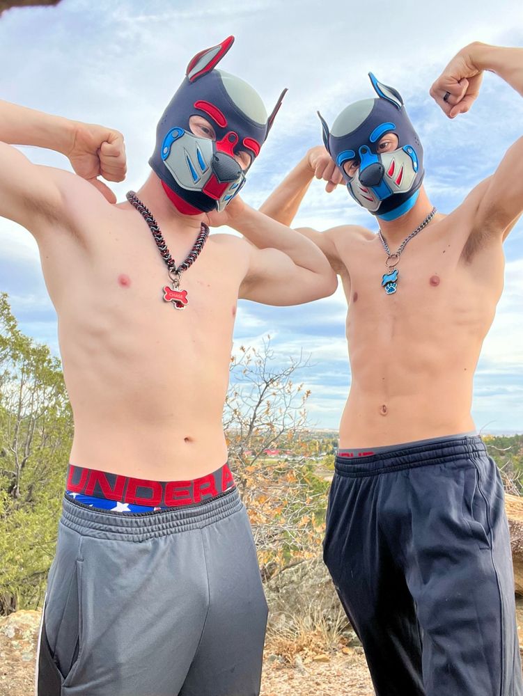 Two gay dogs flexing in front of rocky scenery. 