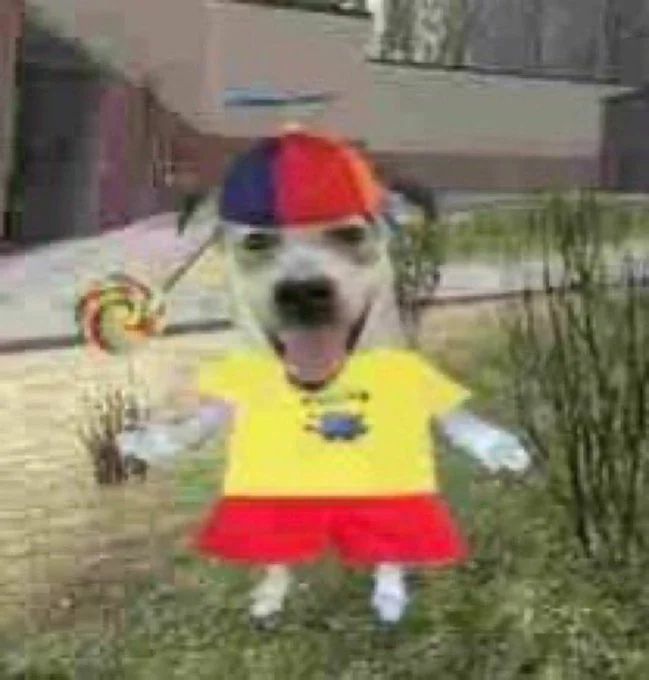 a happy looking dog photoshopped to have a human-like build, hold a lollipop, and wear a propeller hat, a yellow shirt with a Minion (Despicable Me), and red shorts. the image is heavily jpeg compressed and the dog is standing in the garry's mod map gm_construct