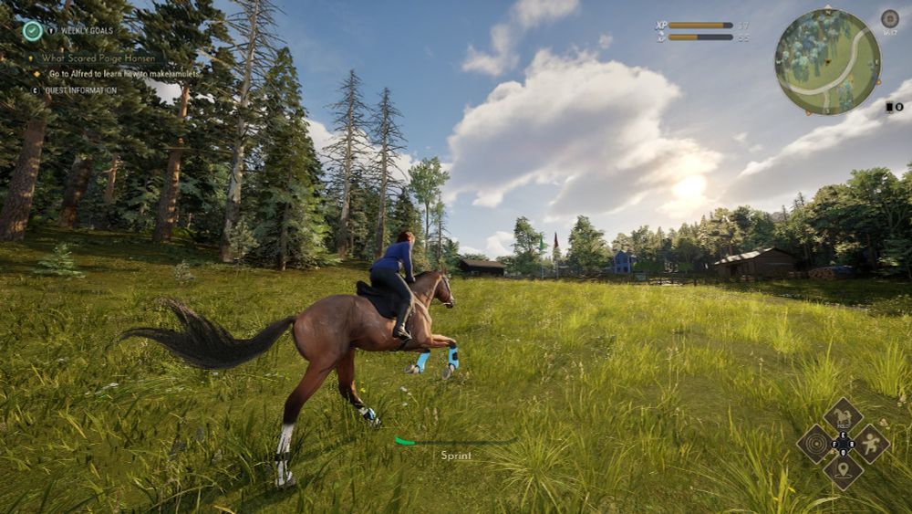 A screenshot from Equinox: Homecoming. 

The poster and their horse run through a field on a new ride island location.

The character is wearing black boots, breeches, and a blue show coat. Their bay horse has a greying effect over them (Roan in the markings menu), with 4 white stockings. The horse is wearing a black bridle, saddle, and saddle pad, and has bright blue and black open front boots.