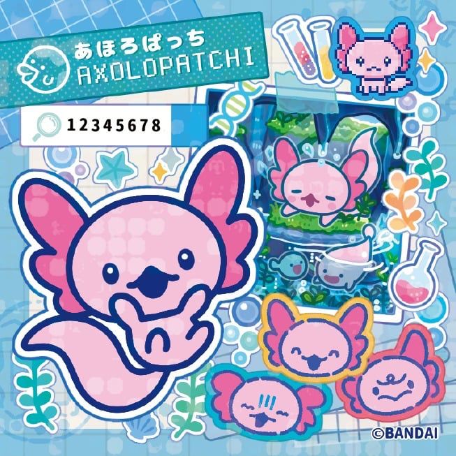 A sticker featuring axolopatchi — an axolotl tamagotchi! It’s doing a bunch of silly faces and cute poses, including a surprised pose, a happy uwu face with closed eyes, a disgruntled face, distressed face and a sleepy pose.
