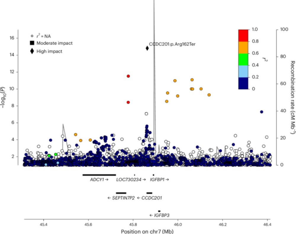 Homozygosity for a stop-gain variant in CCDC201 causes primary ovarian insufficiency - Nature Genetics