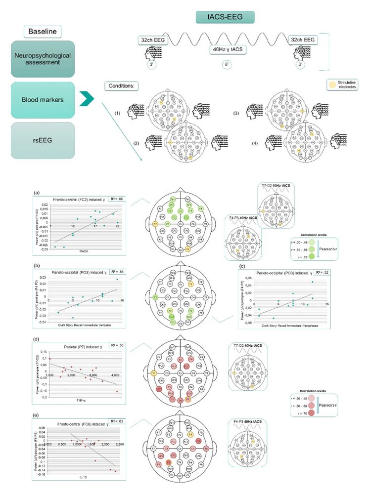 Preliminary Evidence for Perturbation-Based tACS-EEG Biomarkers of Gamma Activity in Alzheimer's Disease. Starstim. Neuroelectrics