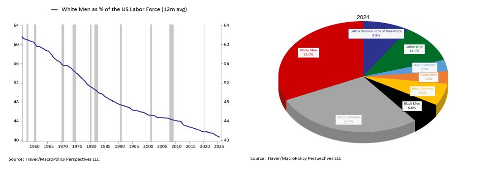 the graph shows that white men are a third of the labor market in 2024, down from more than 60% in the 1950s