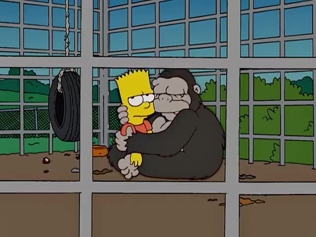The gorilla Toots hugging Bart
